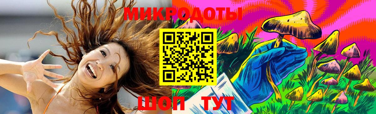 купить   Галлюциногенные грибы GOLDEN TEACHER  Вход с VPN  Соль-Илецк 